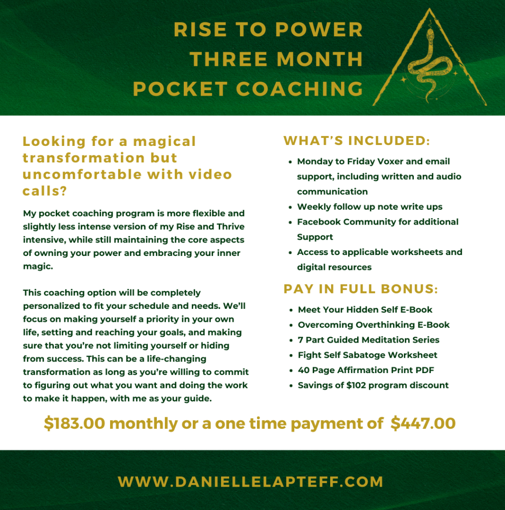 rise to power coaching package details with danielle lapteff logo of snake inside triangle